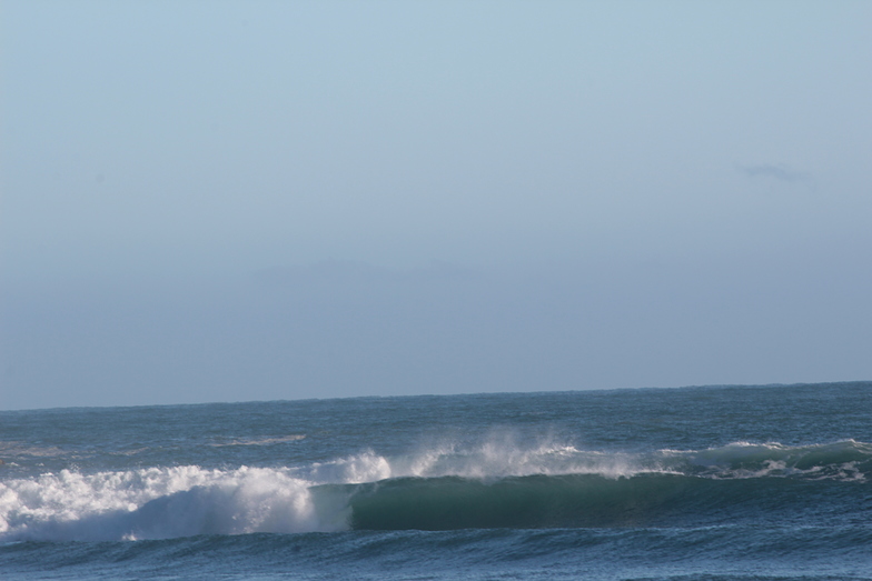 scooby snack, Haast Beach