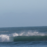 scooby snack, Haast Beach