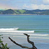 Easter 2017, Whananaki bar