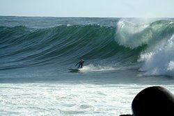 Espinho photo