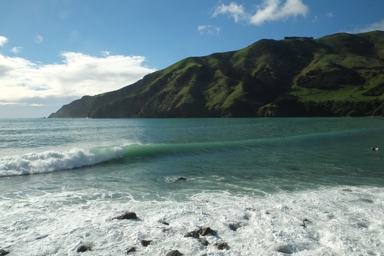 Cable Bay Autumn afternoon