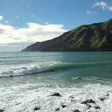 Cable Bay Autumn afternoon