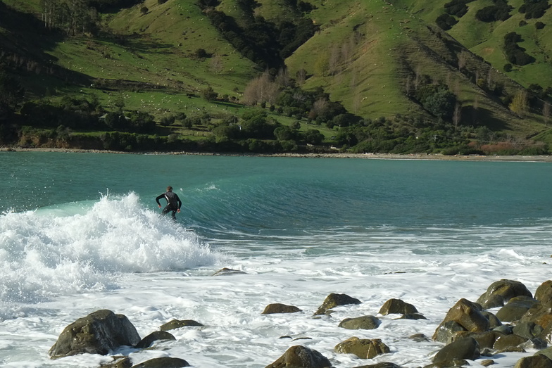 Cable Bay Autumn afternoon