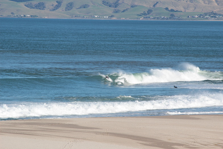 Nugget Point surf break