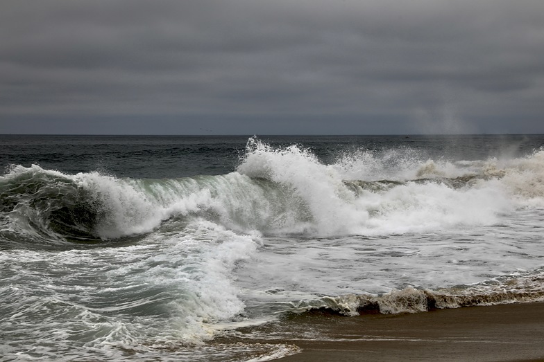The wave, The Wedge