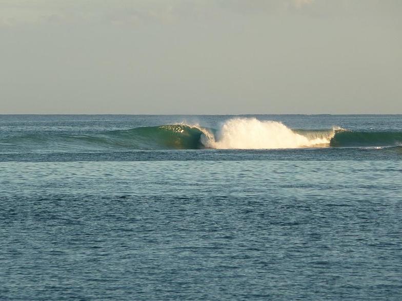 Rare right handed on the opposite reef, Club Med