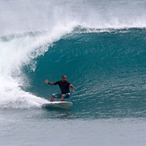 Muriwai Beach