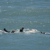 Fish breath, Fletchers Beach