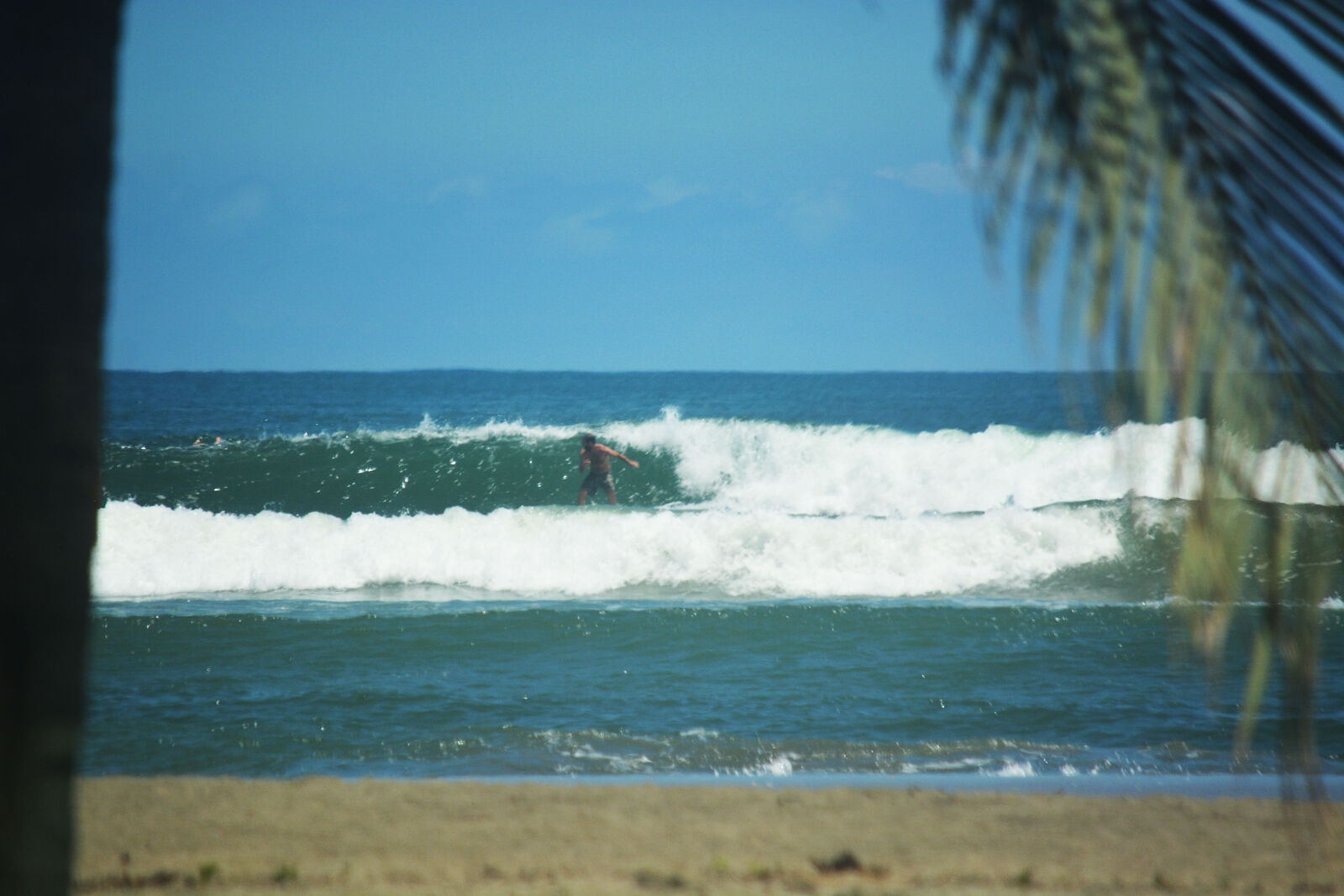 Tamarindo Swell 