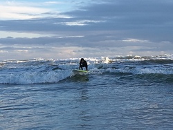 Surfing at Bethells, O'Neills Bay photo