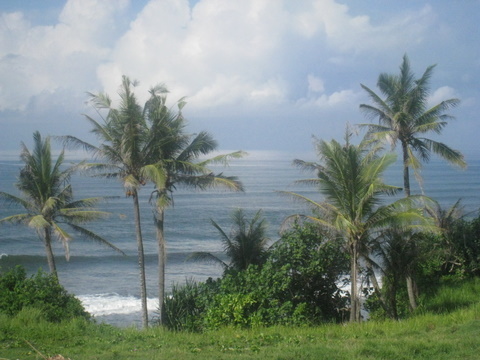 Balian break - view from Pondok Pisces