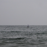 Stand up paddler (aka SUP), Gillis