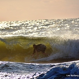 Morning Wash, Garden City Pier