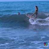 Surf, Palomino