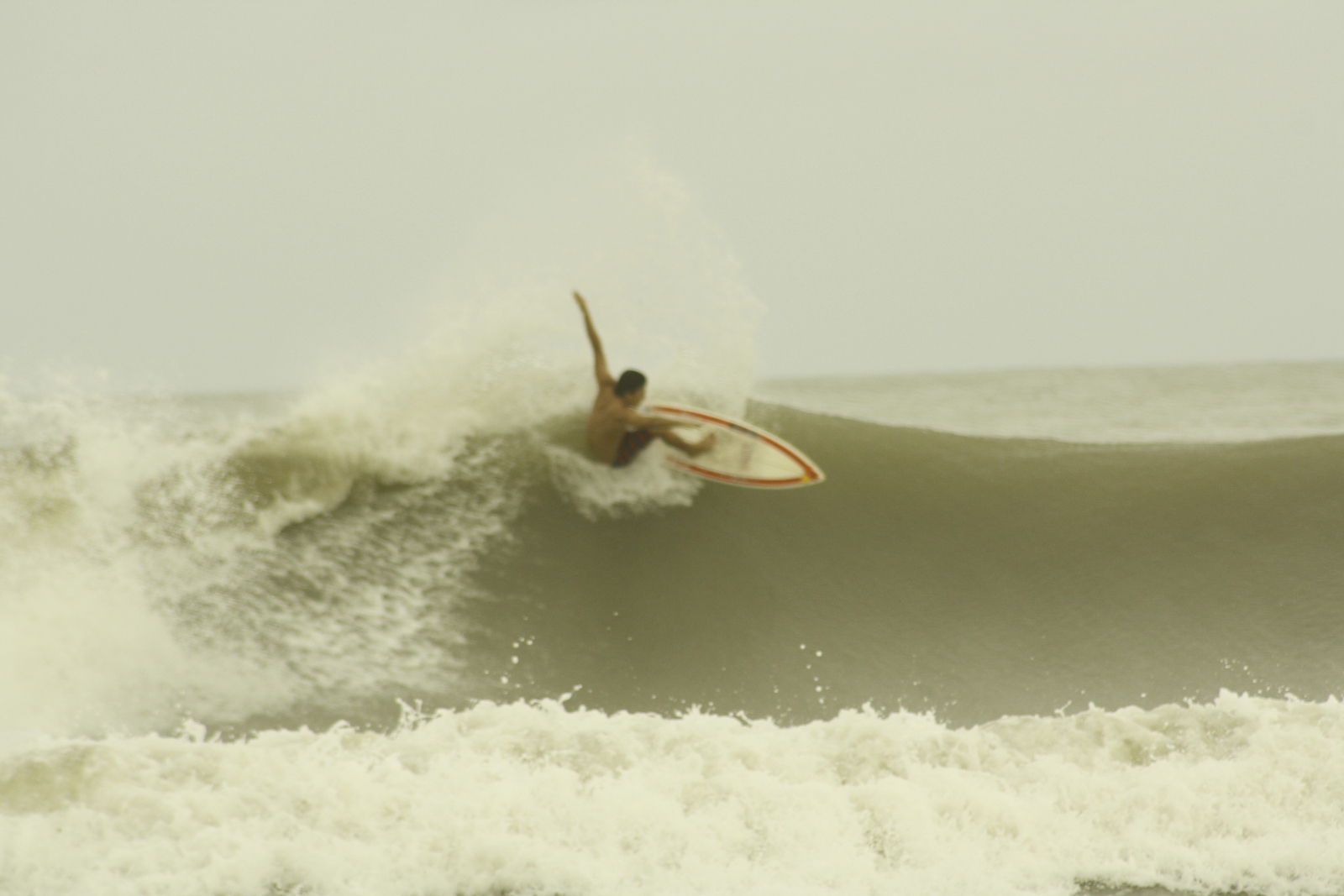 Choco Pato, Los Patos