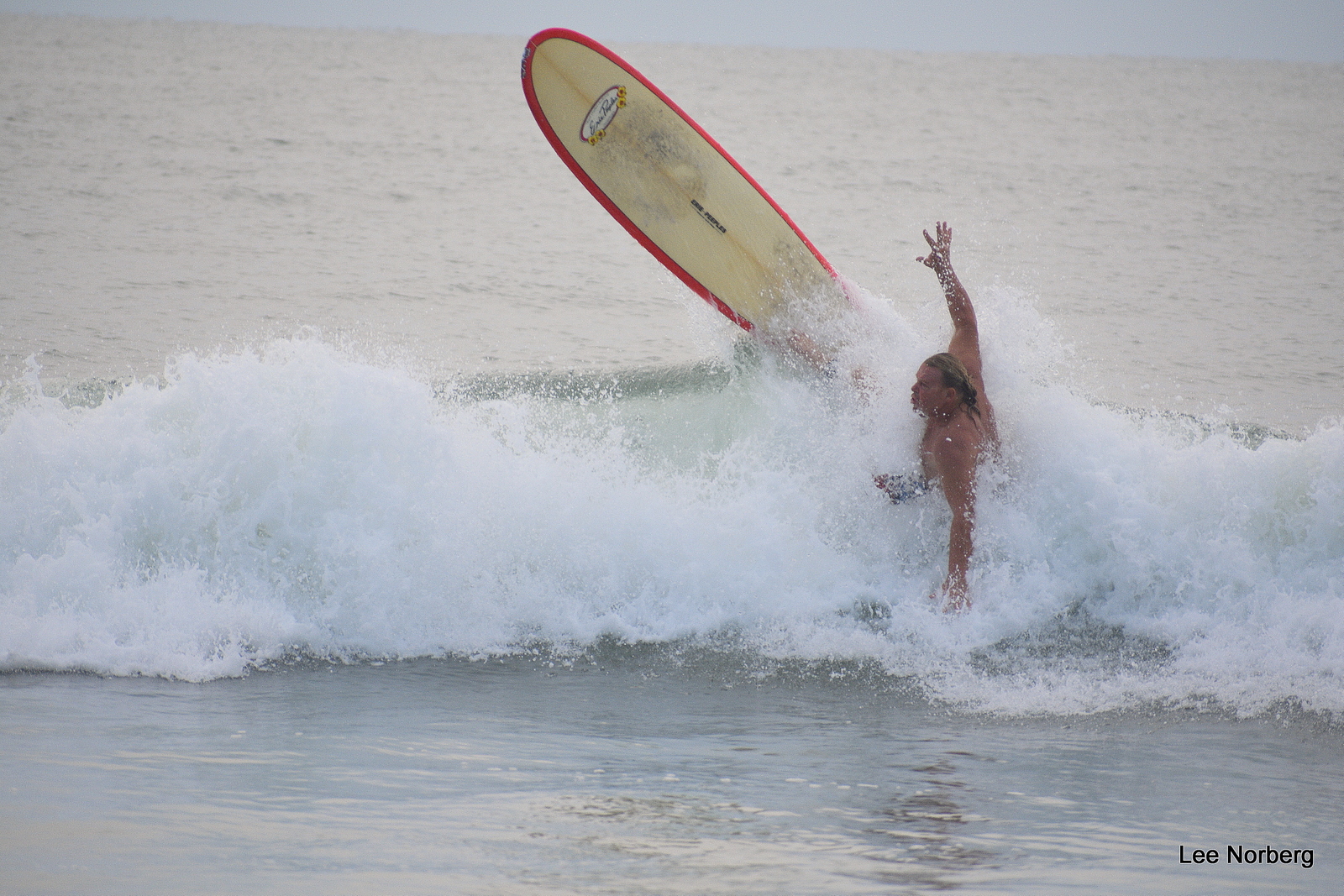 Long Board Pop Up, Garden City Pier