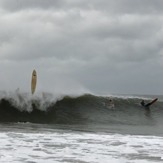 Jose, The Cove Cape May