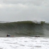 Jose at its Peak, The Cove Cape May