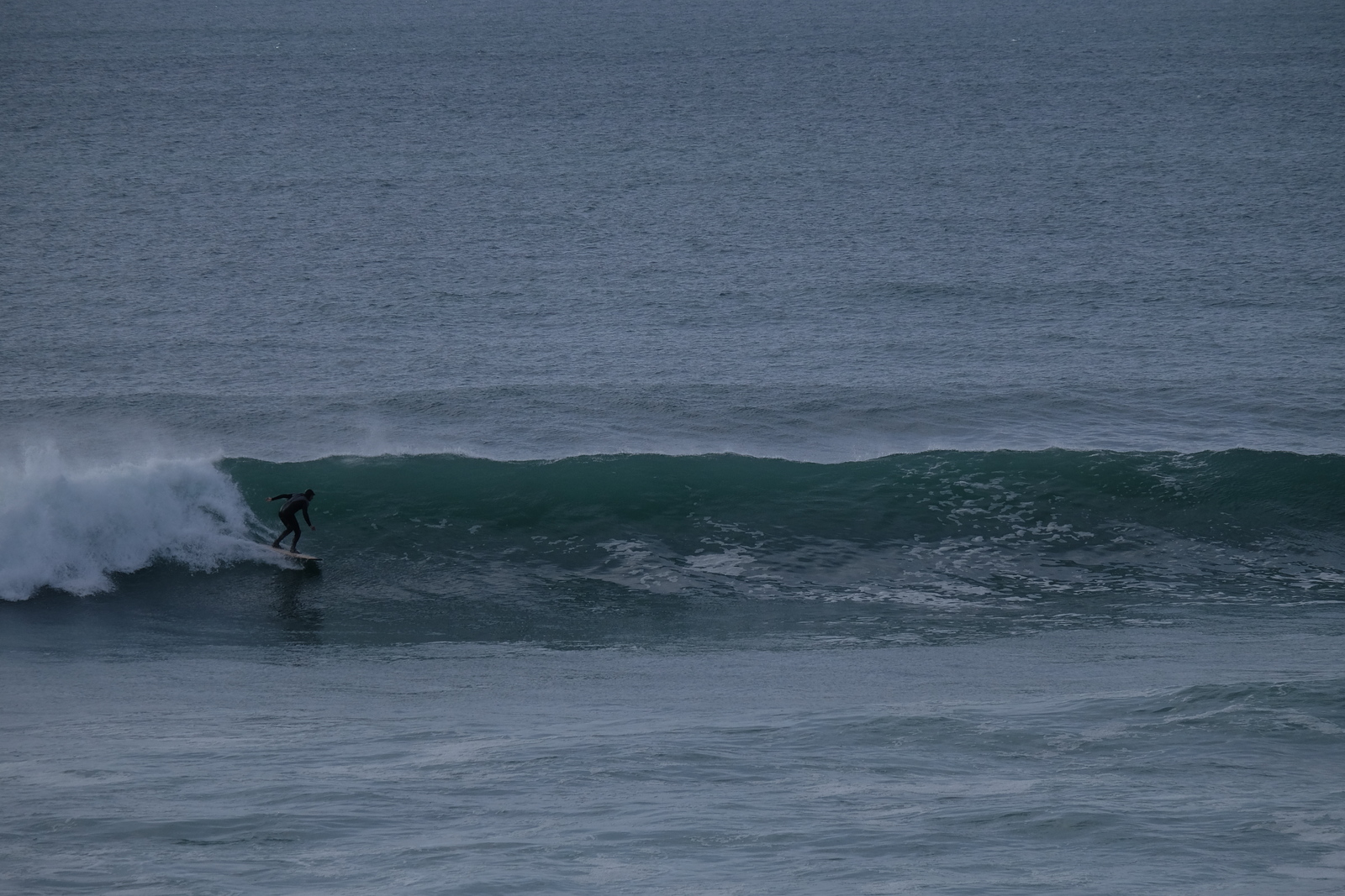 La Palue in light cross-off 