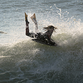 Praia do Norte