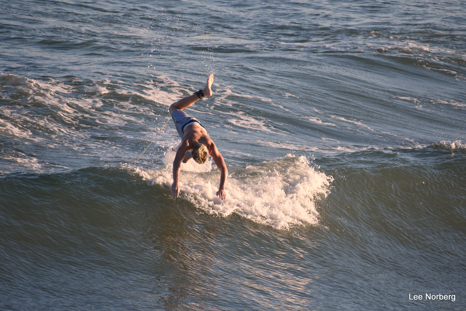 Splat, Garden City Pier