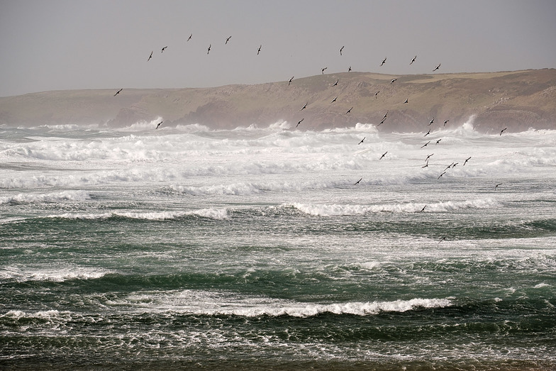 Swell from Storm Ophelia, Freshwater West