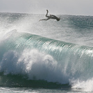 Win or Wipeout, Bronte Beach