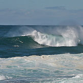 Brilliant Bronte, Bronte Reef or Bunnies