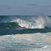 Bronte Reef or Bunnies