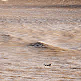 Bristol Channel surf, The Knap