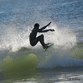 Planting the Board, Garden City Pier