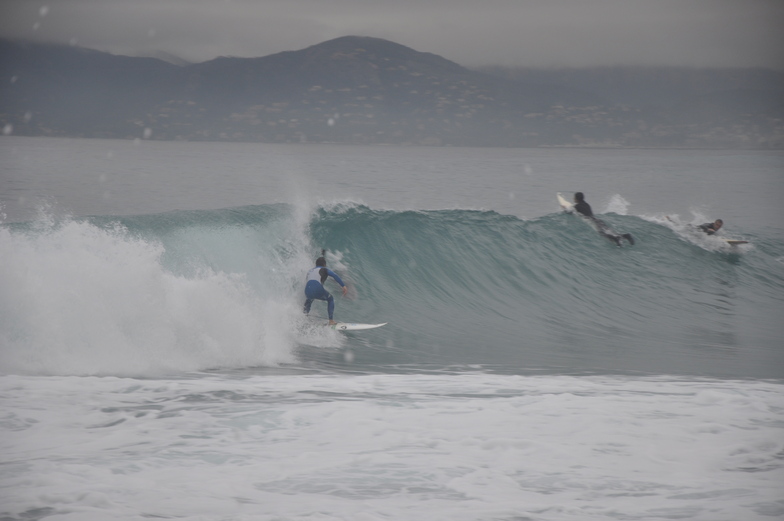 canne surf sert