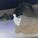 Surfer in Reverse, Garden City Pier