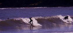 2-3ft glassy, St Andrews photo