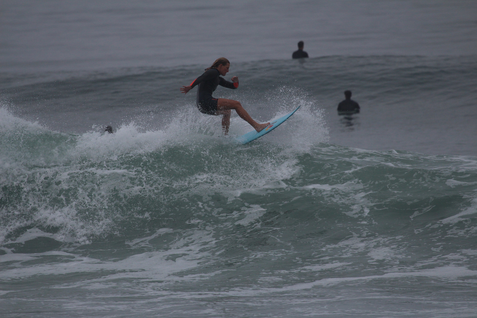 October 2017 Turtles, San Elijo State Beach