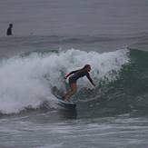 October 2017 Turtles, San Elijo State Beach