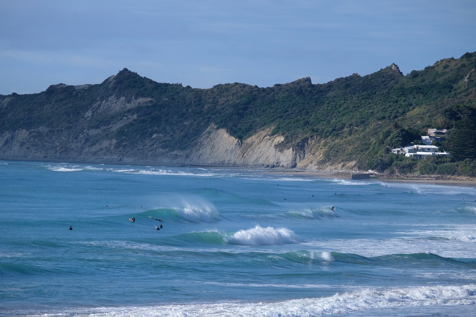 Schools and Stock Route from Pines, Wainui Beach - Schools