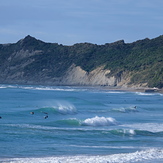Schools and Stock Route from Pines, Wainui Beach - Schools
