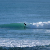 Glassy Pines Surf, Wainui Beach - Pines