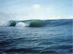 Backyard Pirates Cove nov to march. n to ne usually at this time.