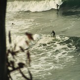 Coal Point, Bruny Island - Coal Point