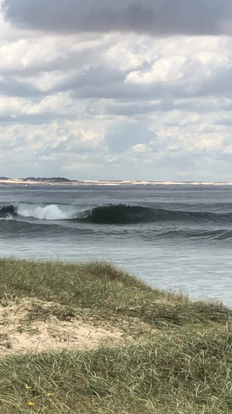 Daycare centre, Stockton Beach