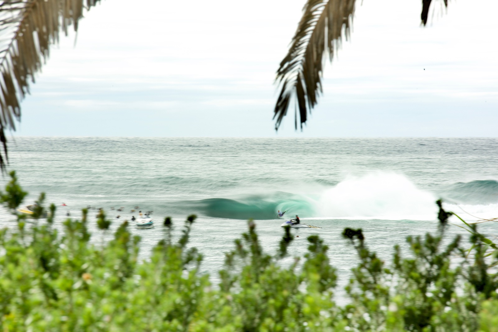 Shark Island Challenge, Shark Island (Cronulla)