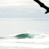 Shark Island (Cronulla)