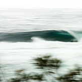 Racing, Shark Island (Cronulla)