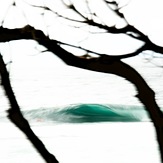 Emerald Isle in the Forest, Shark Island (Cronulla)