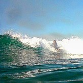 Shalo bernal, Rosarito