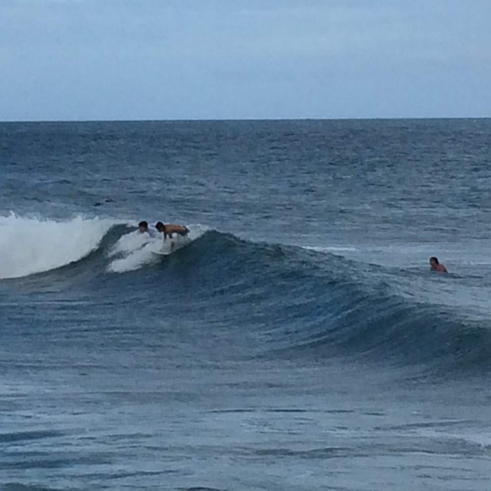 El tiny, Punta Care / Camuri Grande