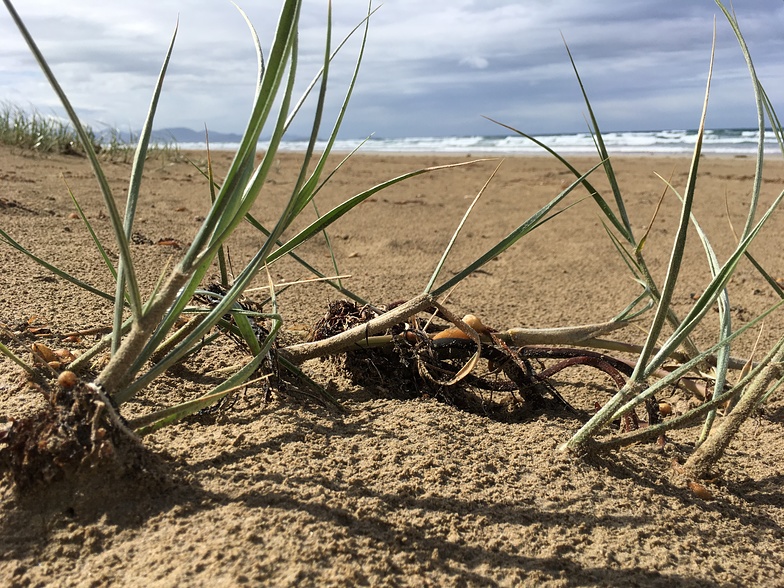 Grey and Windy but still beautiful, Sandy Point