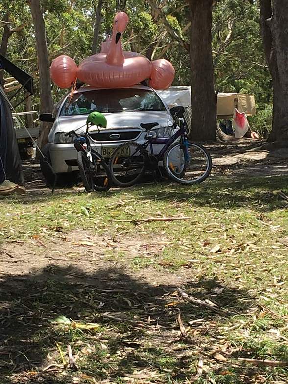 Old Surfers Never Die, Moonee Beach and Creek